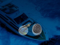 xindazheng image2