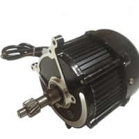 48v 60V Electric 500W Brushless DC Motor