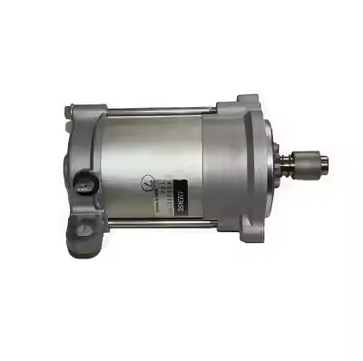 9 Teeth Starter Motor for Taiga Snowmobile Varyag 550 Patrul 550 SWT OEM 428000-8971 Snowmobile Parts
