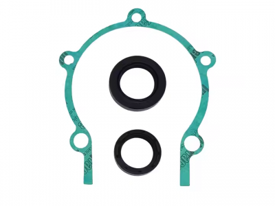 Full Gasket Set and Crank Seals OEM 711195 for Ski-Doo Freestyle Tundra Skandic 300 BRP Snowmobile Partspicture2