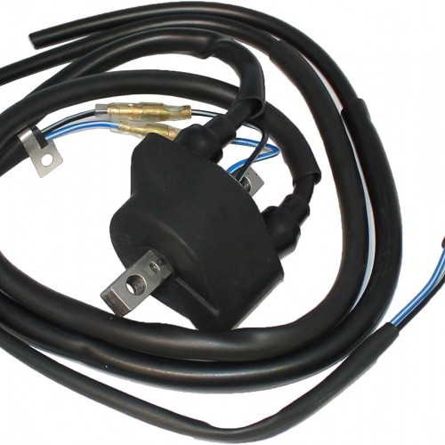 Ignition Coil for Arctic Cat Bearcat Cheetah Cougar El Tigre EXT Jag (1987–2002) | Motorcycle ATV UTV Snowmobile | 3003-977 / 3005-185