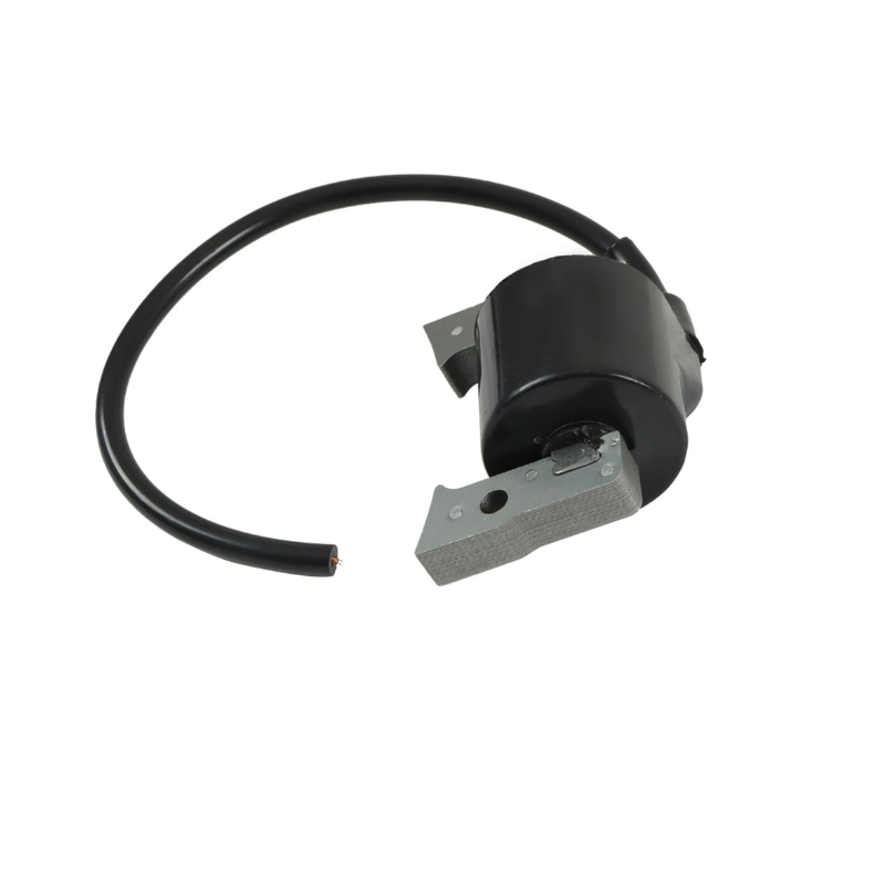 AM109209 Ignition Coil 21119-2161 21121-2070 Replacement for FC400V FC420V LX172 LX176