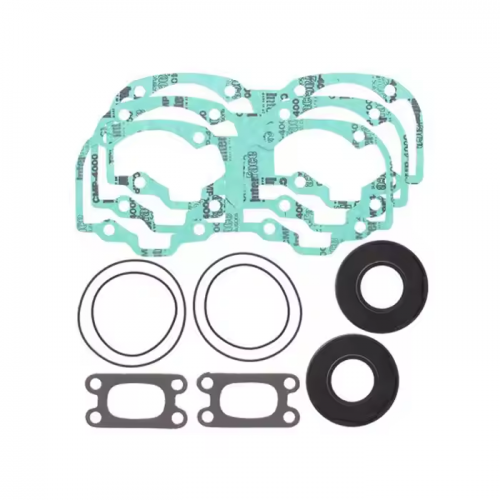 Complete Gasket Kit for Snowmobile Ski-D00 MXZ 550X 06-09 OEM 711277 Snowmobile Partspicture4
