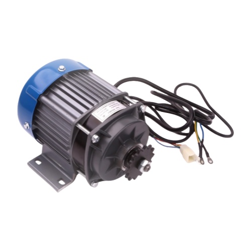 BM1418WZX BLDC electric tricycle DC gearbox brushless motor 650W 48V permanent magnet brushless DC motor
