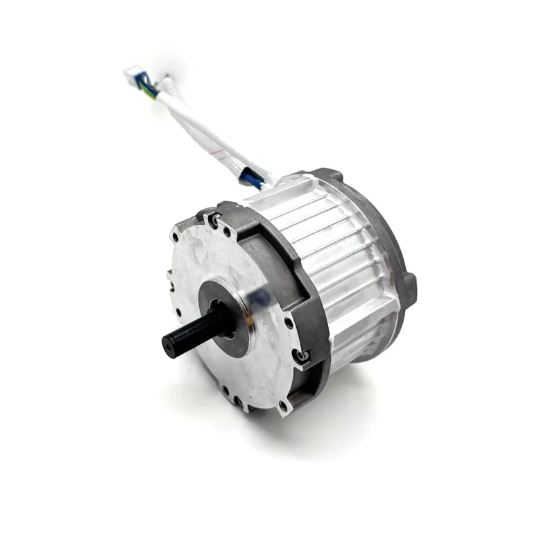 24-36V DC 4500-8000rpm Brushless DC Motor for E-Bike and Lawn Mower