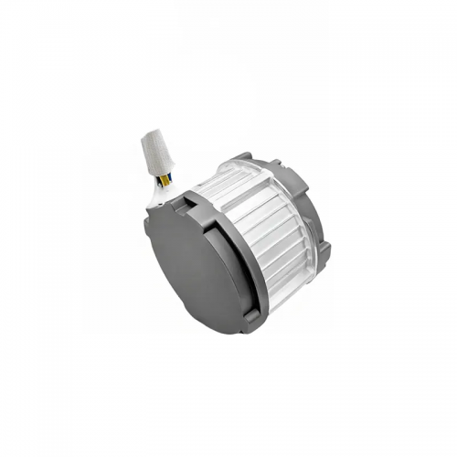 24-36V DC 4500-8000rpm Brushless DC Motor for E-Bike and Lawn Mowerpicture4