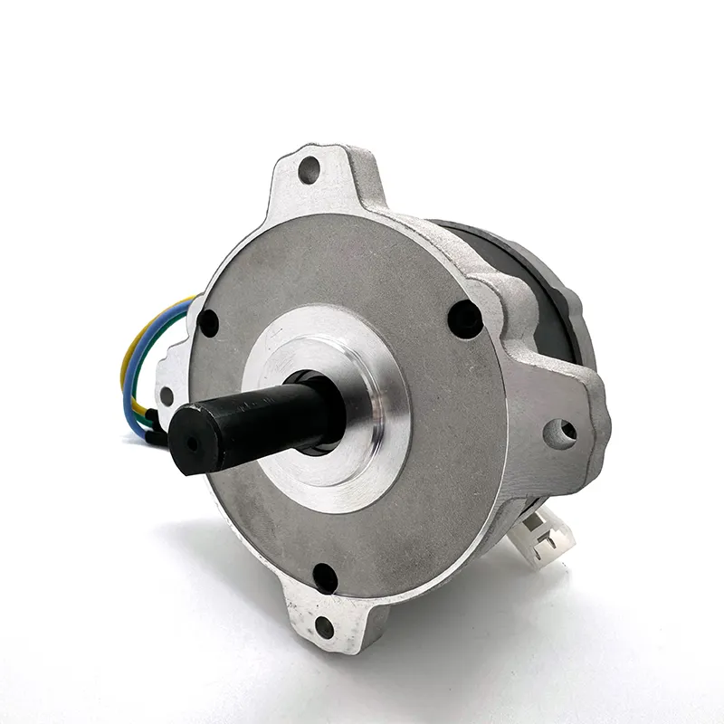 36V 850W 3000RPM BLDC Brushless Electric Motor High-Speed DC Motors for Lawn Mower