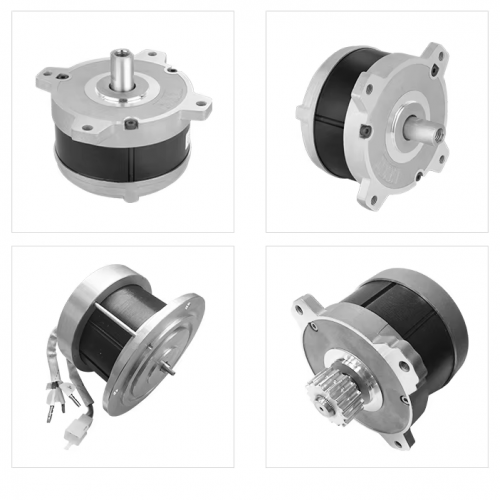 3700rpm 500W 750W 1000W 24V 36V 48V 220V Brushless DC Motor for Lawn Mowerpicture2