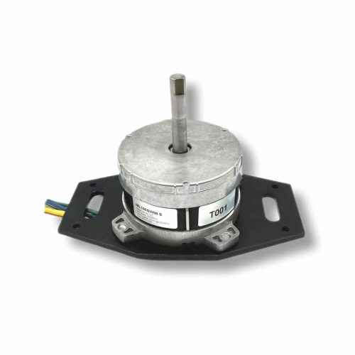 3700rpm 500W 750W 1000W 24V 36V 48V 220V Brushless DC Motor for Lawn Mowerpicture4
