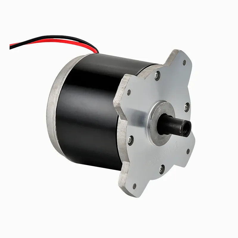 350W 36V Brushed DC Motor Permanent Magnet Waterproof for Electric Vehicle Mechanical Equipment for Lawn Mower Motor