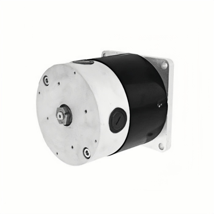 24V MY11524/ZD116A1 Scooter Brush Motor 400W