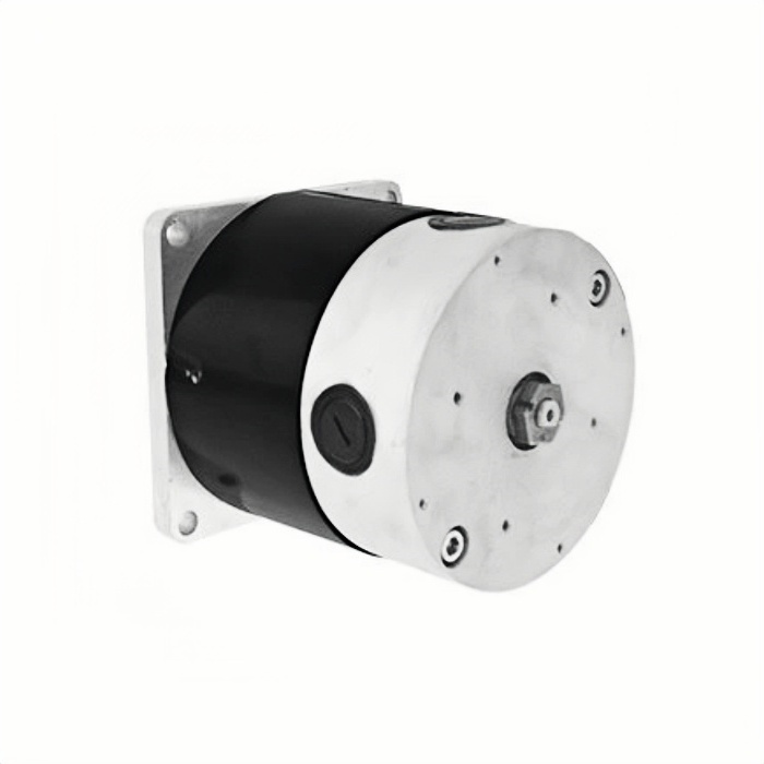 800W 24V MY11524/ZD116A1 Scooter Brushed Motor