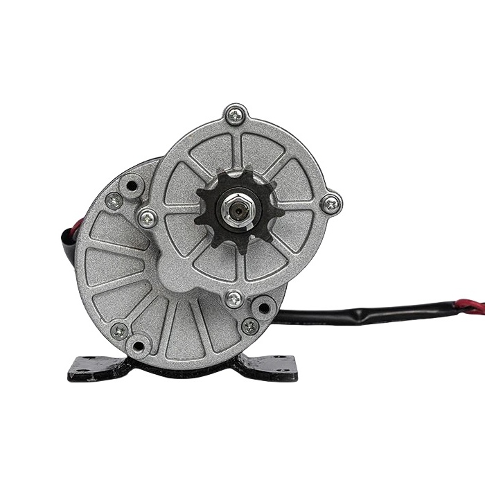 250W 24V ZD101AZ /MY1016Z 24v Brush Motor