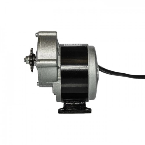 250W 24V ZD101AZ /MY1016Z 24v Brush Motorpicture3