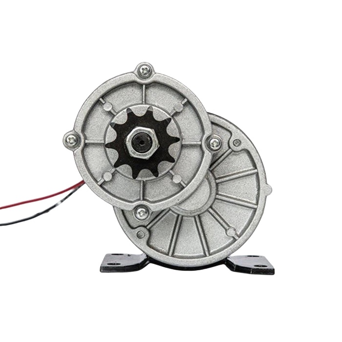 48V 450W brush geared motor 450W MY1020Z/ZD108AZ1