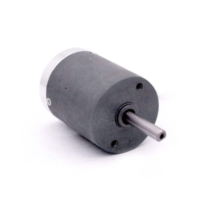 High Torque 24v 48v Brushless Electric Dc Machine Motor for Lawn Mower