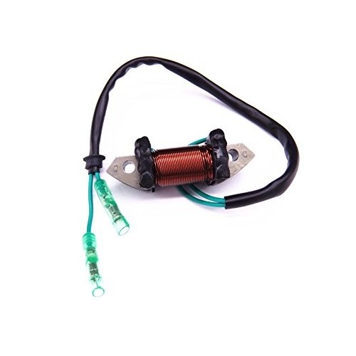 61N-81313-09 T20-06040003 Lighting Coil for Yamaha Parsun MakaraHDX C 25HP 30HP E25B E30Hpicture4