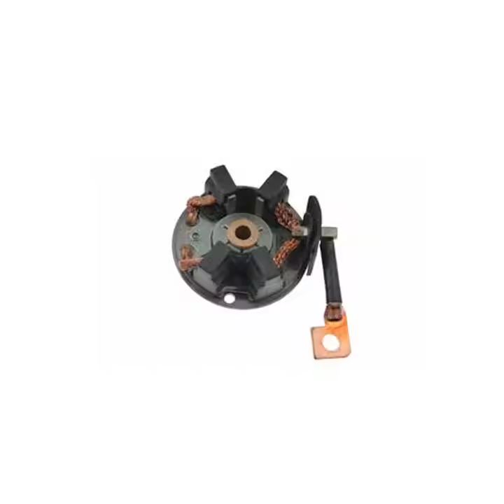 1202355 361004A200 Holder Carbon Brushes for Kiapicture1