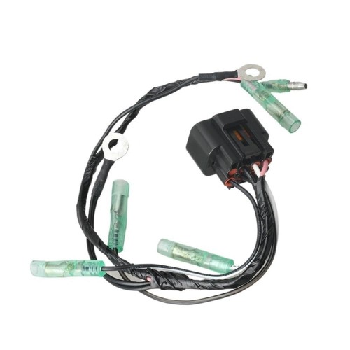 66T-82519-00 CDI Cable 66T-82519 for Yamaha Outboard Parts Parsun Hidea Powertec 2 Stroke 40HPpicture3