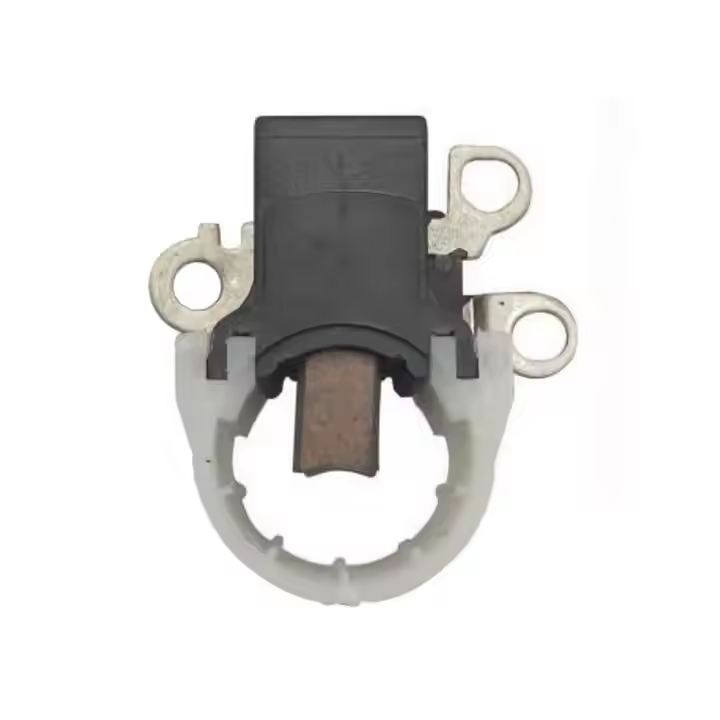 1210003851 1210004520 Starter Carbon Brush Holder for EEP