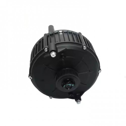 Electric Buggy Engine QS165 5000W 35h Center Drive Motorpicture3