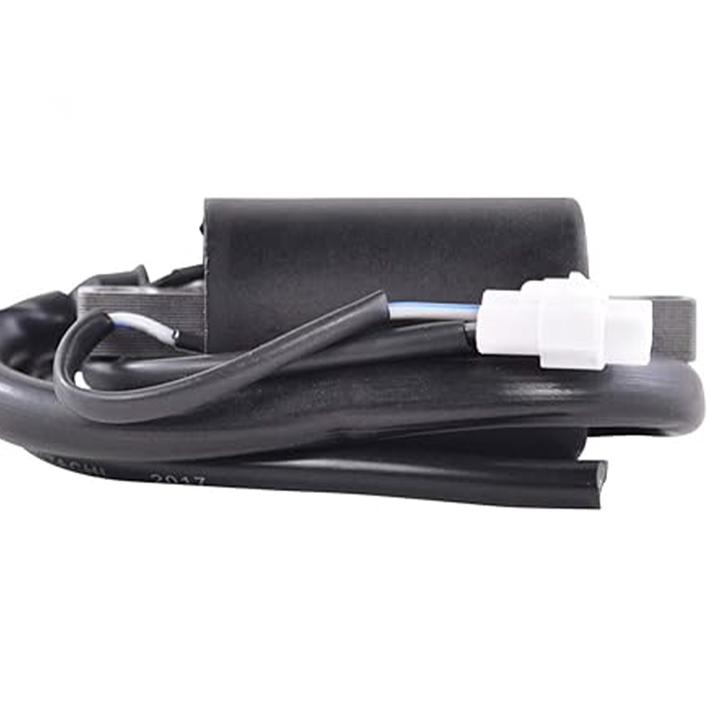 Ignition Coil for Polaris 600 RMK 144 155 EFI L/C 2010-2022 4014010