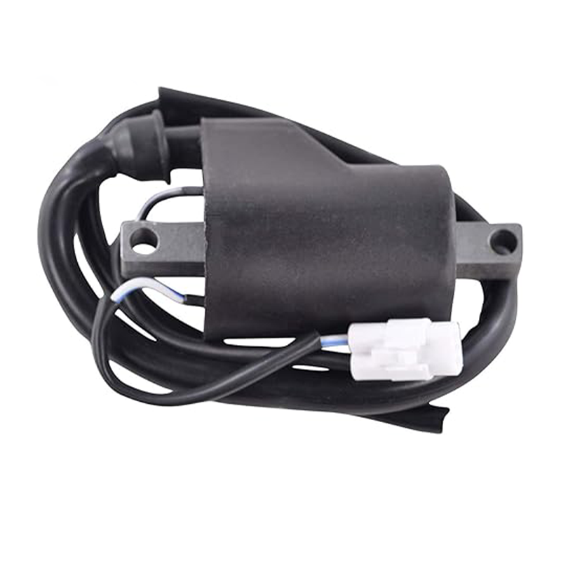Ignition Coil for Polaris 700 Classic Fusion RMK EFI L/C 2006-2010 4014010