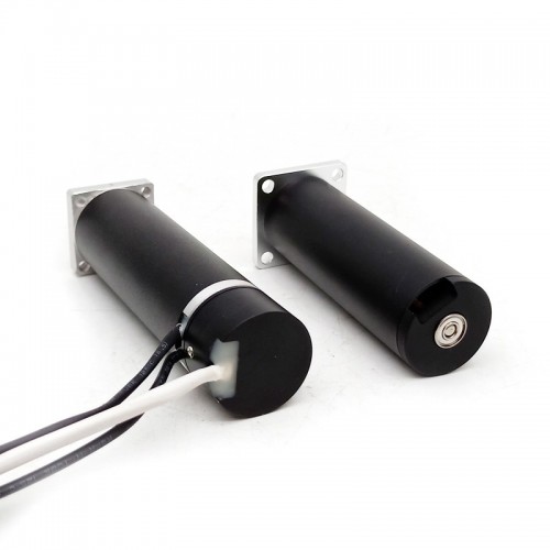 TBC2266 22mm Coreless Brushless DC 12V 24V High Speed Motorspicture4