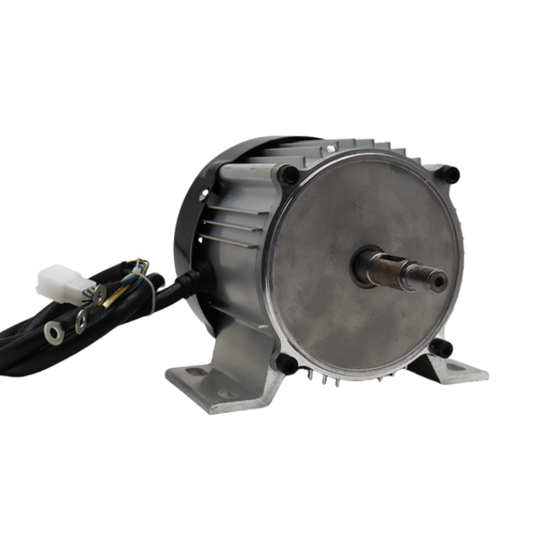 48V center mounted high power brushless motor waterproof high torque electric car DC motor