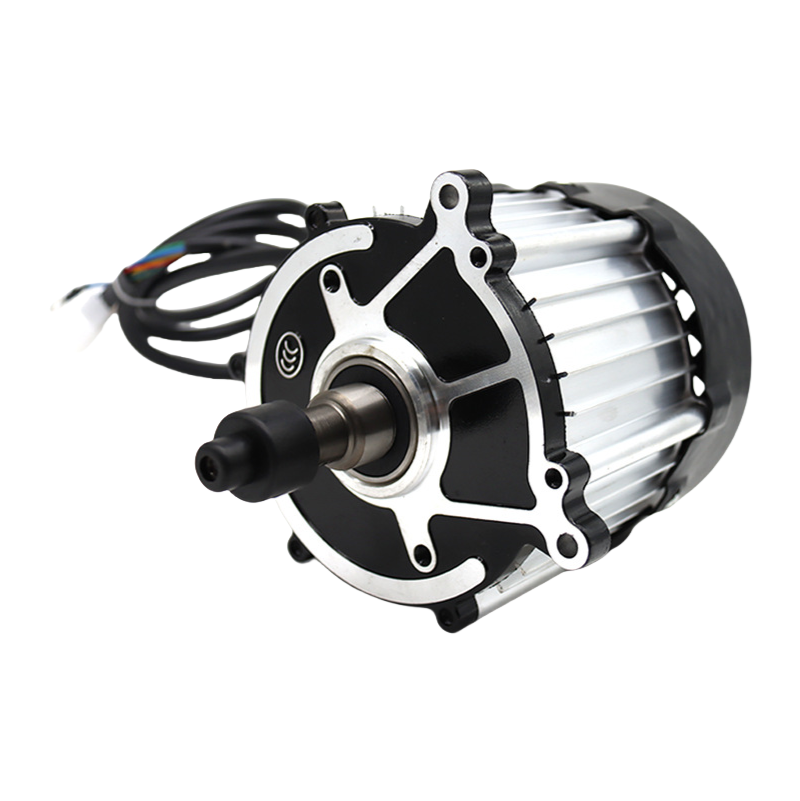 48V Sixteen Piece Magnet Differential Motor AMR Drive BLH DC Brushless Geared Motor