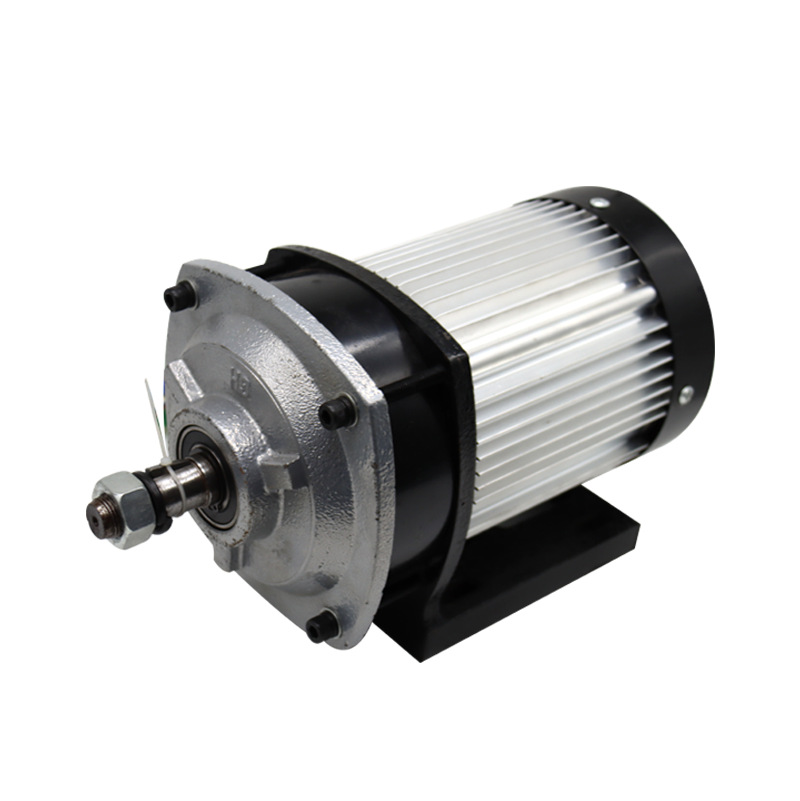 48V three-wheeled electric car high-power differential brushless motor old age walking balance car