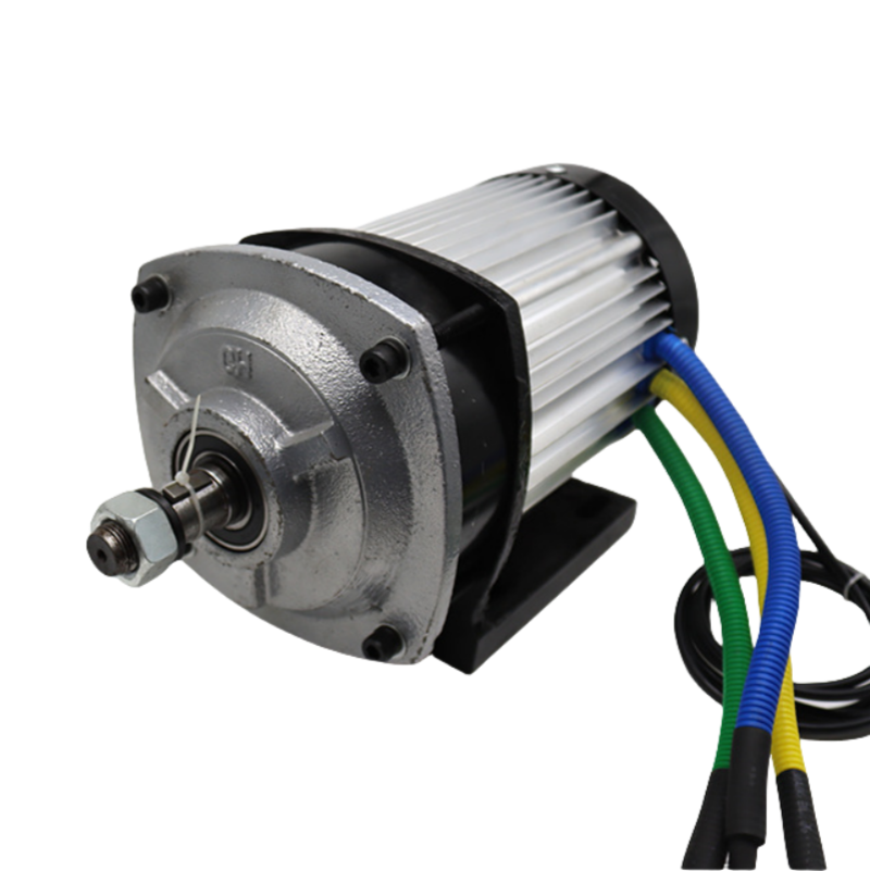 60V three-wheeled electric car high power differential brushless motor old age walking balance car