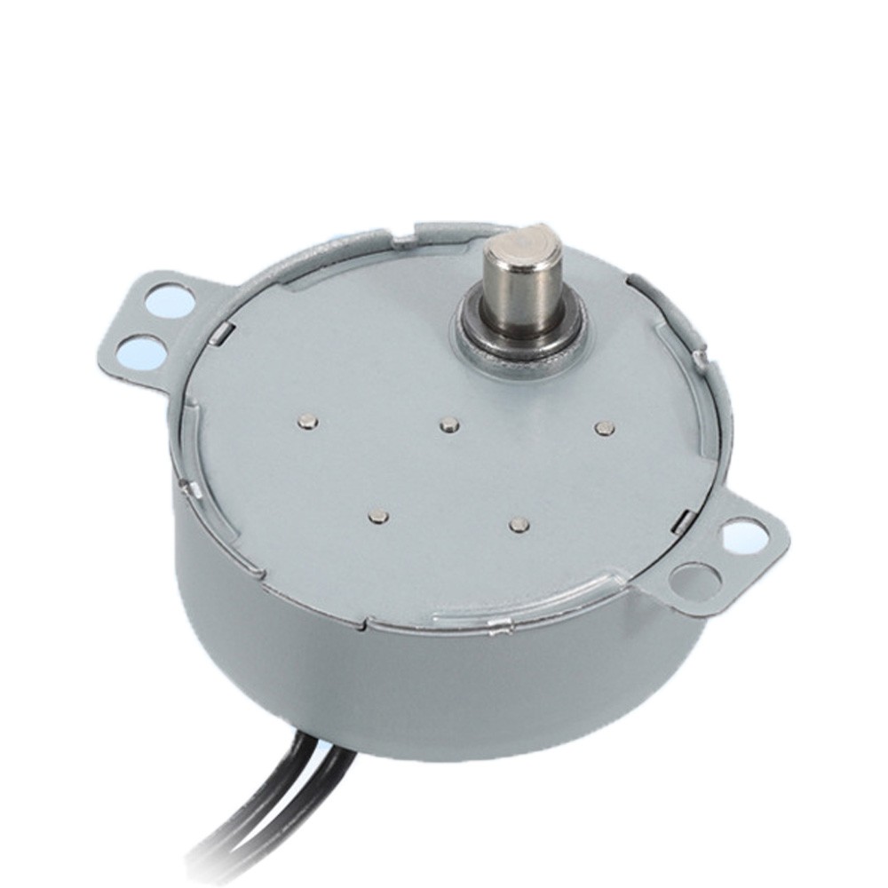 49TYJ Synchronous Motor for Electric Fan/Electric Heater/Humidifier AC 220-240V