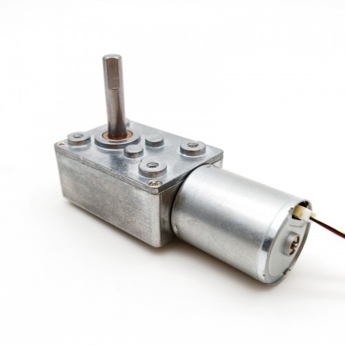 TWG3246-TEC2430 High Torque DC Brushless Worm Gear Motor