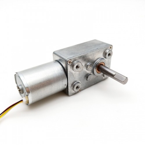 TWG3246-TEC2430 High Torque DC Brushless Worm Gear Motorpicture5