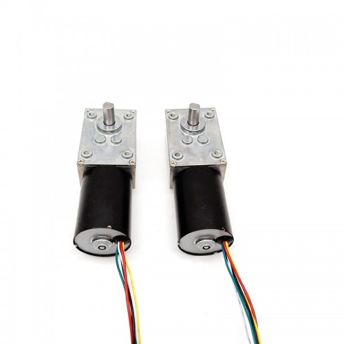 TWG4058-TEC3650 DC Gear Motor Brushless High Torque Speed DC Worm Gear Motor