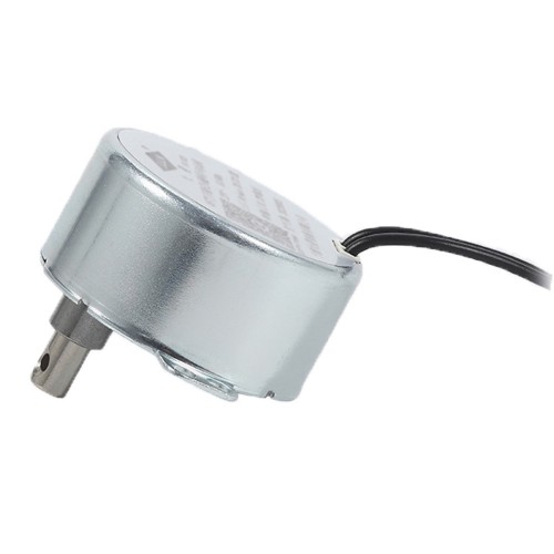 49TYJ Synchronous Motor 220-240V 50/60Hz Compatible for Coffee machine/circulation fanpicture3