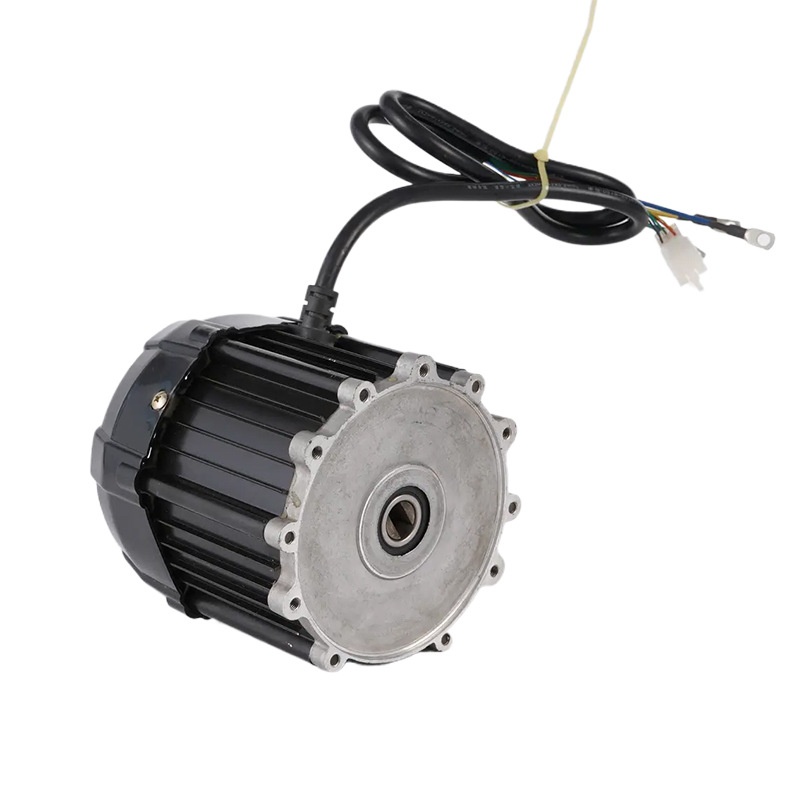 60V 1000W Electric Vehicle Parts Permanent Magnet Brushless DC Electric Tricycle Motor