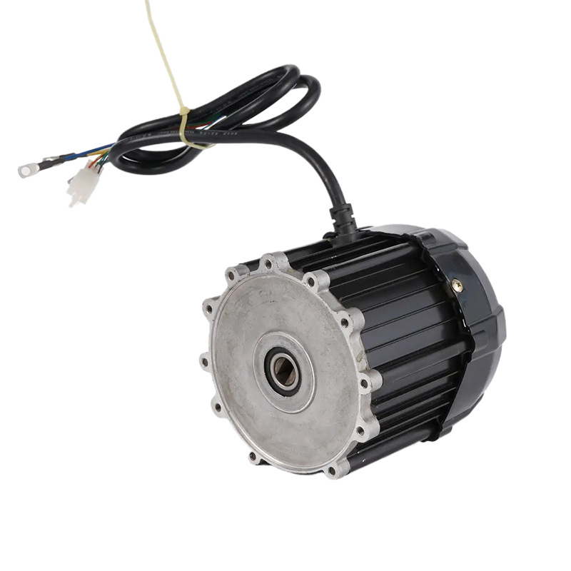 72V 1000W Electric Vehicle Parts Permanent Magnet Brushless DC Electric Tricycle Motor