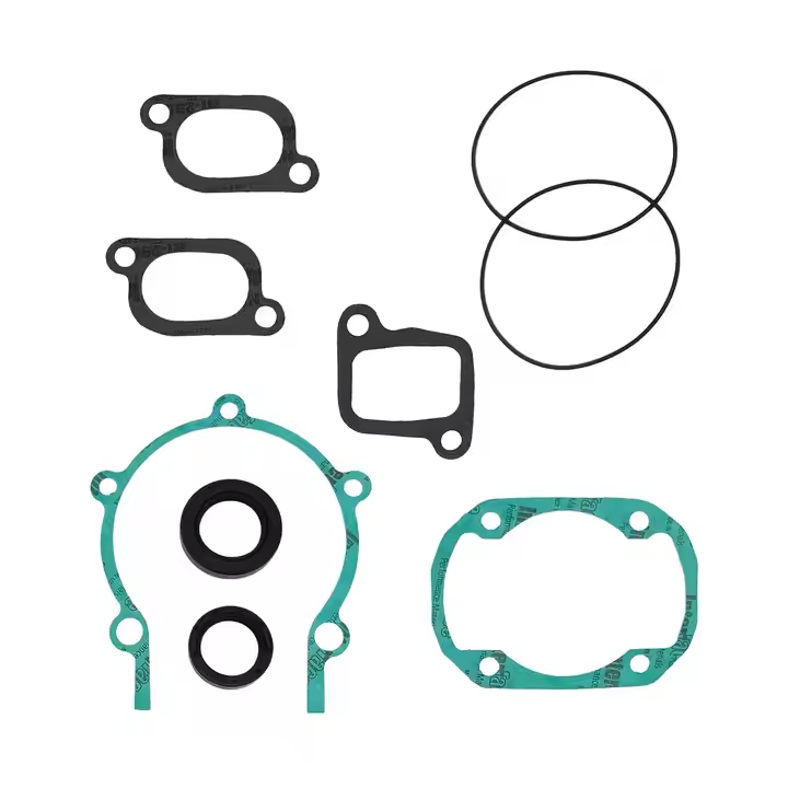 Gasket Set for Ski-Doo Tundra 300F Snowmobiles 2006-2009 711195