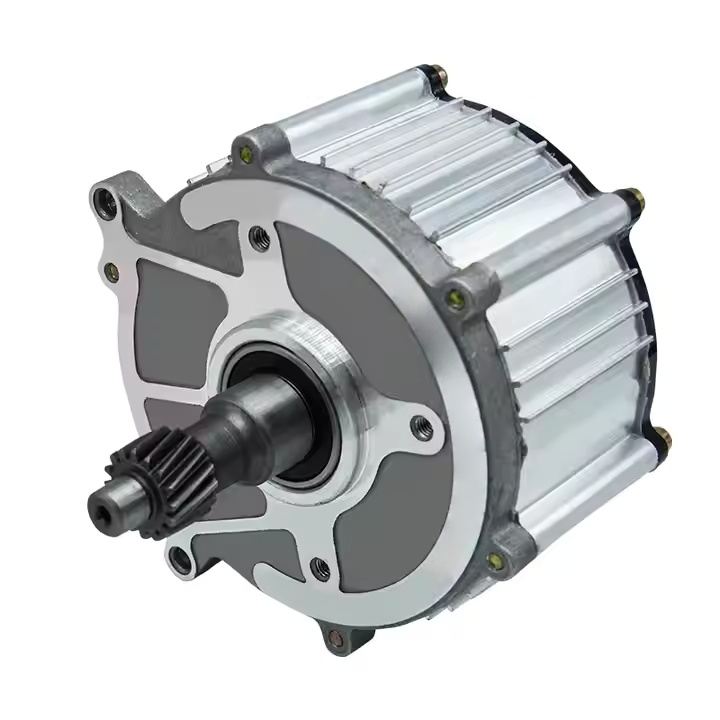 High Power 48v 350-1500W DC Motor 3 Wheel Rickshawpicture1