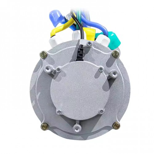 High Power 48V 2000-6000W Pmsm Electric Tricycle Motorpicture4