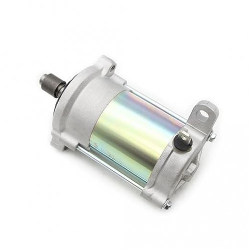 Starter Motor for Taiga Kawarara 550 V 428000-8971picture3