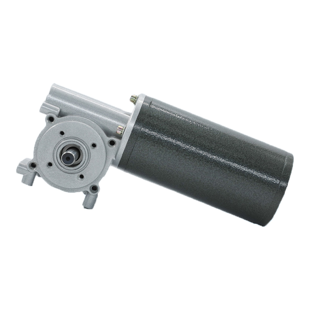 Worm Gear Reduction DC Permanent Magnet Gear Motorpicture1
