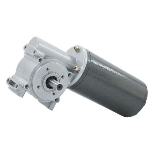 Worm Gear Reduction DC Permanent Magnet Gear Motorpicture2