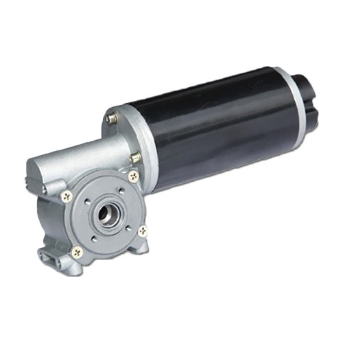 Worm Gear Reduction DC Permanent Magnet Gear Motorpicture5