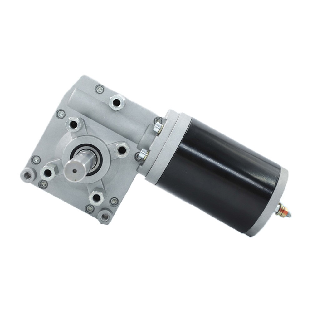Micro High Torque DC Worm Motor 240W
