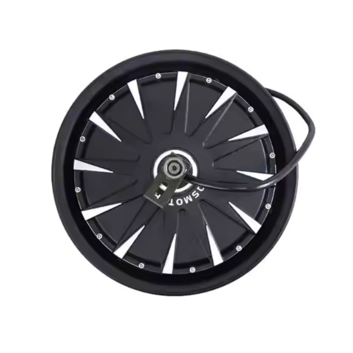 QS Motors 12X2.5 inch 1200W 260 V1 for Electric Motorcycles BLDC Hub Motorspicture1