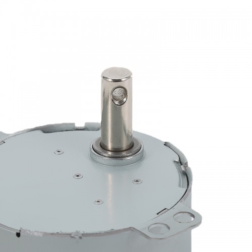 Permanent Magnet Synchronous Motor for Fireplace AC 110-120Vpicture3